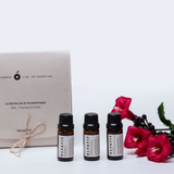 SET TRANQUILIDAD X3 (LAVANDA + NARANJA + BERGAMOTA) 10ML